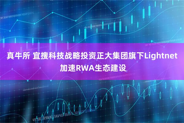 真牛所 宜搜科技战略投资正大集团旗下Lightnet 加速RWA生态建设