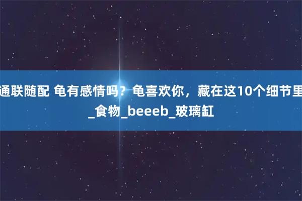 通联随配 龟有感情吗？龟喜欢你，藏在这10个细节里_食物_beeeb_玻璃缸