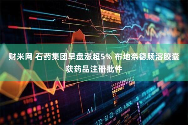 财米网 石药集团早盘涨超5% 布地奈德肠溶胶囊获药品注册批件