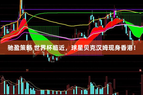 驰盈策略 世界杯临近，球星贝克汉姆现身香港！