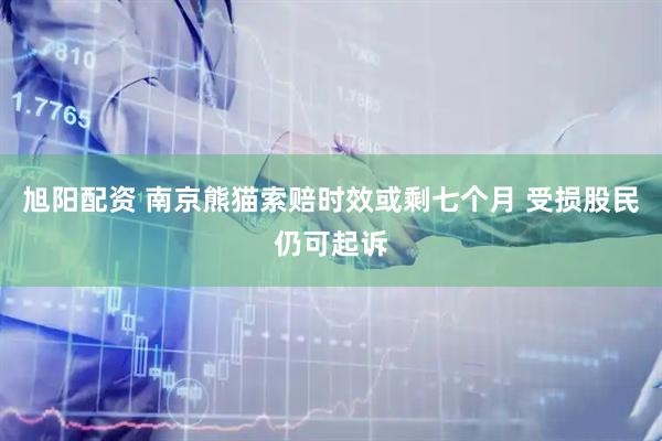 旭阳配资 南京熊猫索赔时效或剩七个月 受损股民仍可起诉